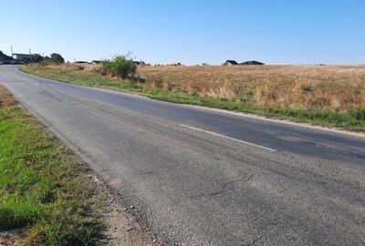 Teren intravilan 33.496 mp, Com. Bradu (fosta Com. Albota), Arges - 1