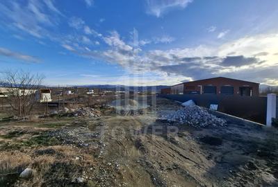 Teren intravilan la intrare in Cristian, pentru constructii industriale - 10