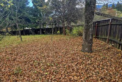 Casa de vacanta Timisu de Sus/Brasov/Oportunitate investitie - 13