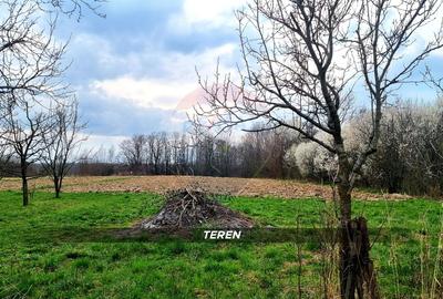 Casă din cărămidă cu teren generos de 2460 mp și anexe, în Borlești - 22