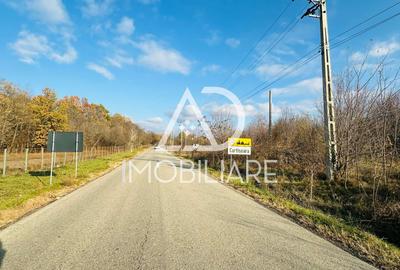 Teren intravilan 1160 mp – Ideal pentru investiție sau locuință - 2