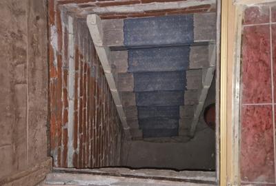 VILĂ CU POTENȚIAL MULTIPLU || CALEA DOROBANȚI - 34