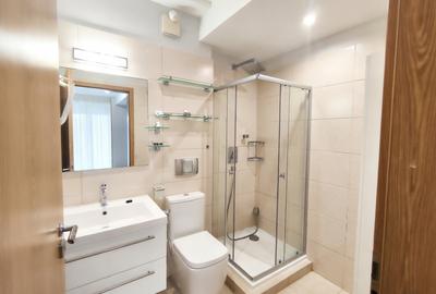 Baneasa -Iancu Nicolae- 2 camere LUX- gradina 40 mp - 12