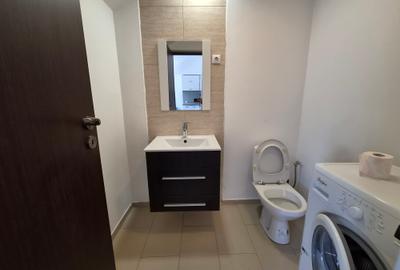 Inchiriere Duplex 2 Camere cu Gradina Iancu Nicolae - 10