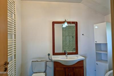 Sacalaz - Casa P+M, 139 MP, 3 Dormitoare, 3 Bai, Birou, Foisor, Iaz - 28