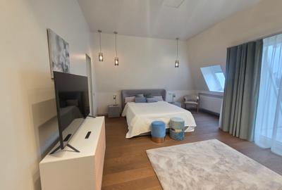 ÎNCHIRIERE PENTHOUSE  EROU IANCU NICOLAE - 11