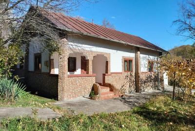 Iedera, Cricovul Dulce, casa de vanzare 90mp, teren 2450mp - 12
