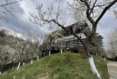 Casa de vacanta**Panorama spectaculoasa//Provita de Jos_Prahova - 3