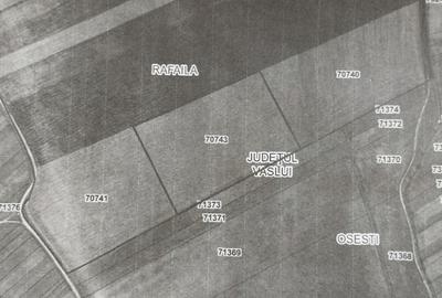 Teren agricol extravilan de 91500 mp, în Rafaila