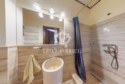 Vila 6 camere, suprafata utila 240 mp, curte - birouri / rezidential - Dorobanti - 12