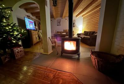 Casă de vacanță tip Chalet pe Valea Muresului - 2