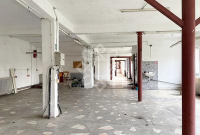 Casa si spatiu de productie in Iosia, teren 839 mp - 14