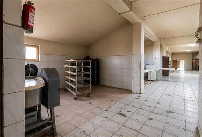 Spatiu comercial+afacere functionala: brutarie,rute de distributie,Ghelinta - 13