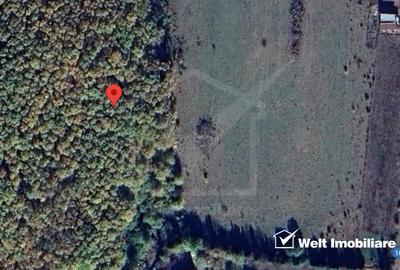 Teren extravilan de 3300 mp, în Sălicea