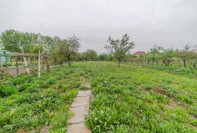 Casa Individuala, 4 camere - Pancota (teren 1605mp) - 24