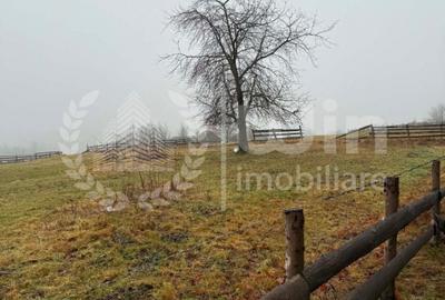 Teren intravilan ideal pentru investitie 1716mp | Front 38m | Marisel - 4