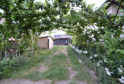 Casa P+E cu 2 intrari, 240 mp, 7 cam,  in Becicherecu Mic, la 15 km de Timisoara - 13