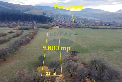 Teren 5.800 mp Purcareni curent, gaz, apă / Strada 30 decembrie - 2
