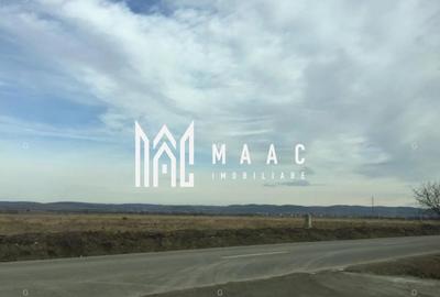 Teren Construcții intravilan de 10000 mp, în Vest