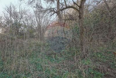 Comision 0! Casă cu teren de 1000mp in inima Brasovului - 11