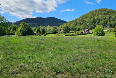 Teren intravilan,cadru natural de poveste,zona Scaricica-Gloduri.com.Al.cel Bun - 2