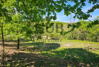 Teren intravilan | langa padure si parau | Luncani/Bacau - 1