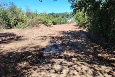 Snagov lângă Vila de Protocol a Jandarmeriei - 1