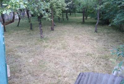 Teren Breaza 800 mp - 1600 mp - 1