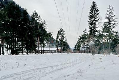 Teren intravilan - Sacele - Brasov - 6