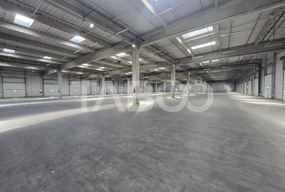 Spatiu industrial 2600mp pe un singur nivel de inchiriat in Sibiu - 6