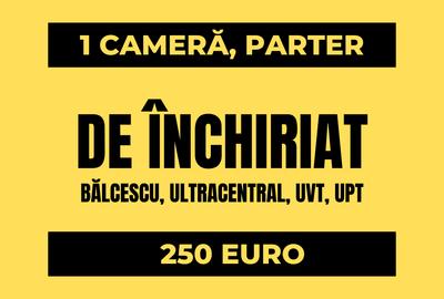 Garsonieră, 250 EURO, UVT, UPT, BĂLCESCU, PET-FRIENDLY