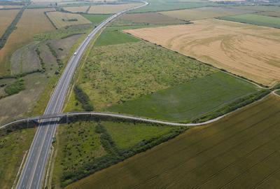 Teren 12 ha la Autostrada A1 cu PUZ aprobat - 7