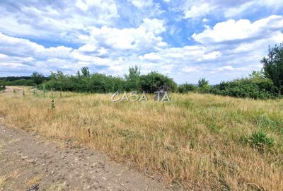 Teren Extravilan (11.464 mp),situat in Targu-Jiu, Str Ciresului - 7