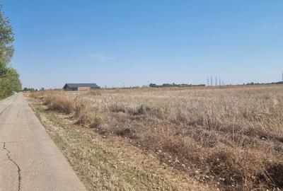 Oportunitate de investitie | Teren intravilan de vanzare | 10.000 mp - 7