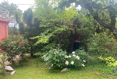 Vila cochetă Pipera, teren 650 mp - 35