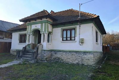 Casă și teren de vânzare Polovragi - Racovița - 1