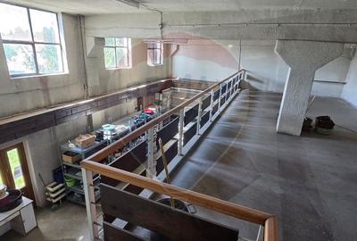 Spațiu comercial de închiriat – 204 mp – zona Pasaj, Bistrița - 6