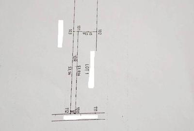 Teren Construcții intravilan de 959 mp, în Calea Romanului