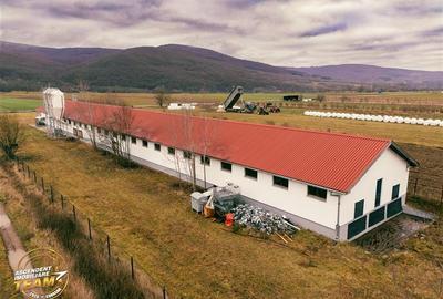 FILM! Ferma de iepuri,Malnas,Covasna: domeniu:industrial/comercial,asset UE - 29