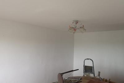 Apartament 3 camere Giurgiului - Luica - 10