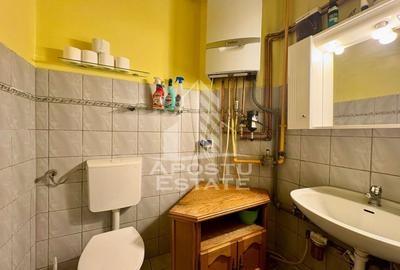 Casa individuala de vanzare zona Traian Timisoara, 2 fronturi stradale - 17