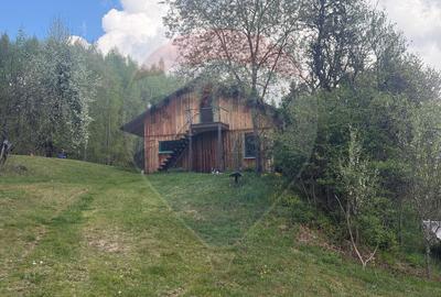 Proprietate eco-turistică de vânzare – 62.330 mp, Horea, Alba - 48