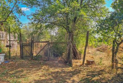 Teren intravilan 2100mp + casa + anexe 29.000 euro - 4