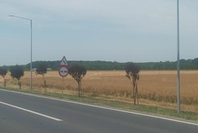 Teren Vanzare Intravilan Branesti - Investitie Zona Industriala Vis a Vis Makita - 22