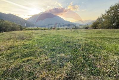 Teren 646mp intre Bran si Zarnesti (Tohanita,) intravilan - 21