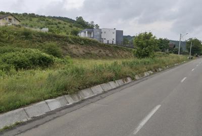 REPREZENATRE EXCLUSIVĂ! Teren intravilan construcții, zonă superbă, Livezeni. - 2
