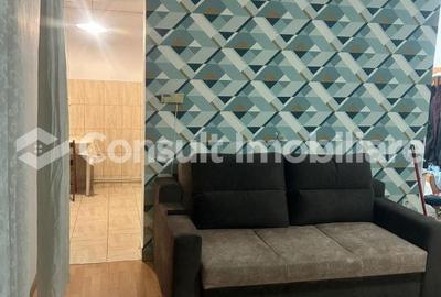 Apartament 1 camera | Intre Lacuri