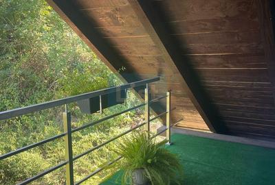 Casa noua pe drumul Lupacului - 13