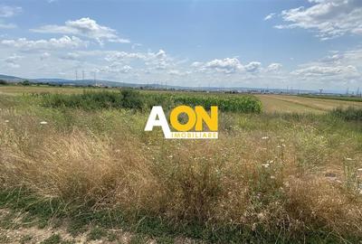 Teren Construcții intravilan de 5859 mp, în Micești