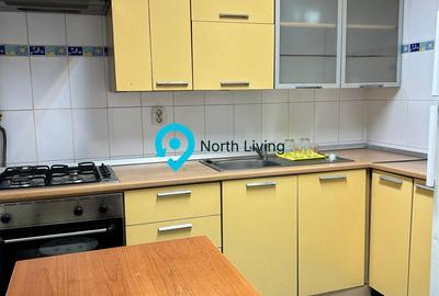 Apartament 5 camere TVR Pangratti - 11